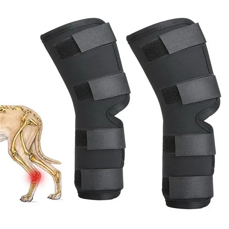 1 Pair Pet Knee Pads Support Brace for Leg Hock Joint Wrap Injury Recover Legs Dog Protector Protects Bandage