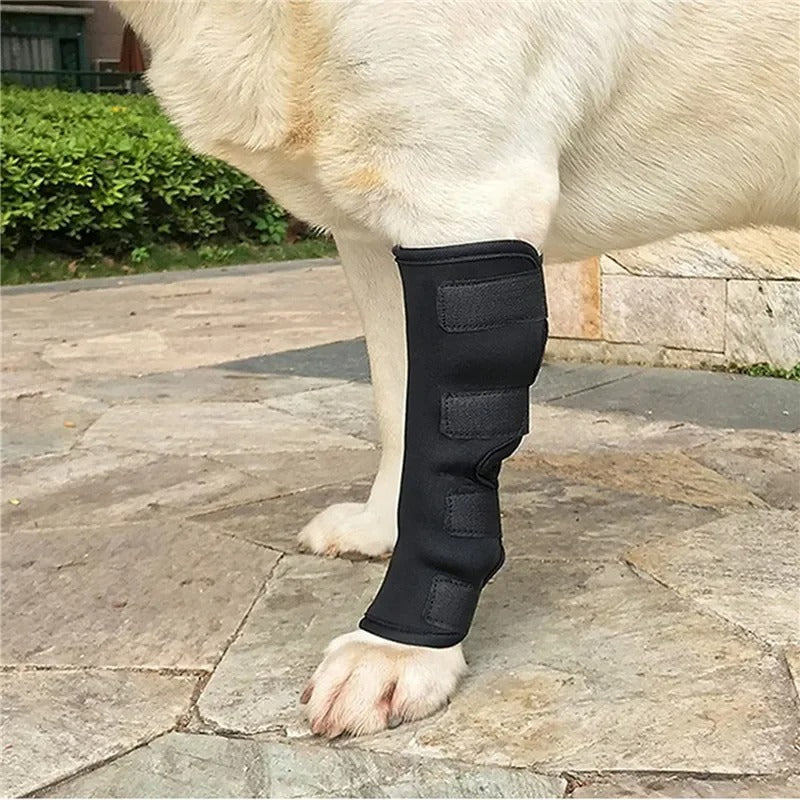 1 Pair Pet Knee Pads Support Brace for Leg Hock Joint Wrap Injury Recover Legs Dog Protector Protects Bandage