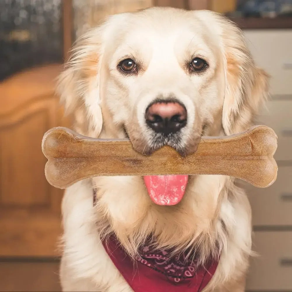 8 Inch Cowhide Bone Non-Toxic Creative Teeth Clean Stick Anti-bite Leather Chew Bone for Small Medium Large Dog